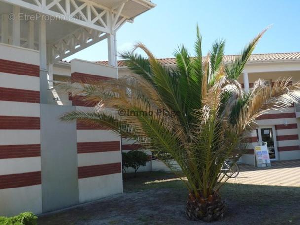 Avec Piscine Apartment Soulac-sur-Mer